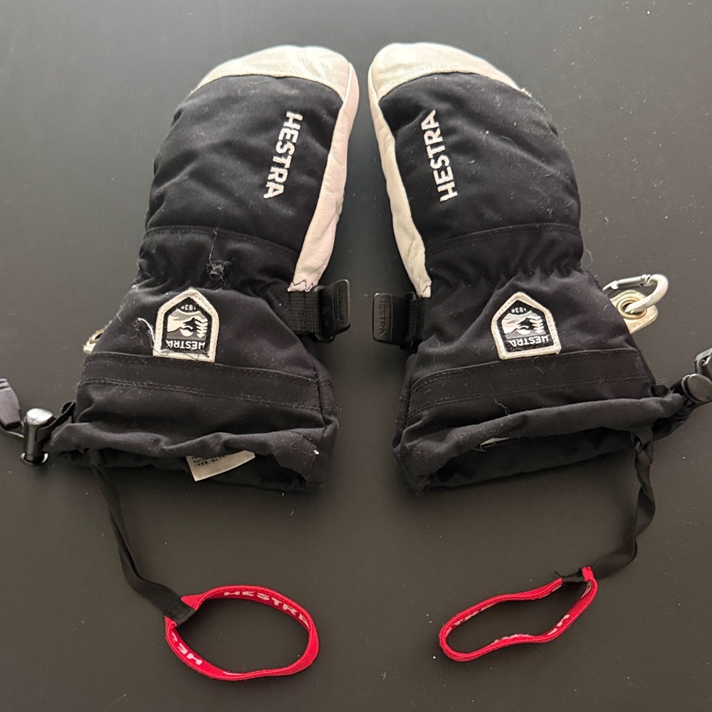 Hestra Black and White Ski Mittens